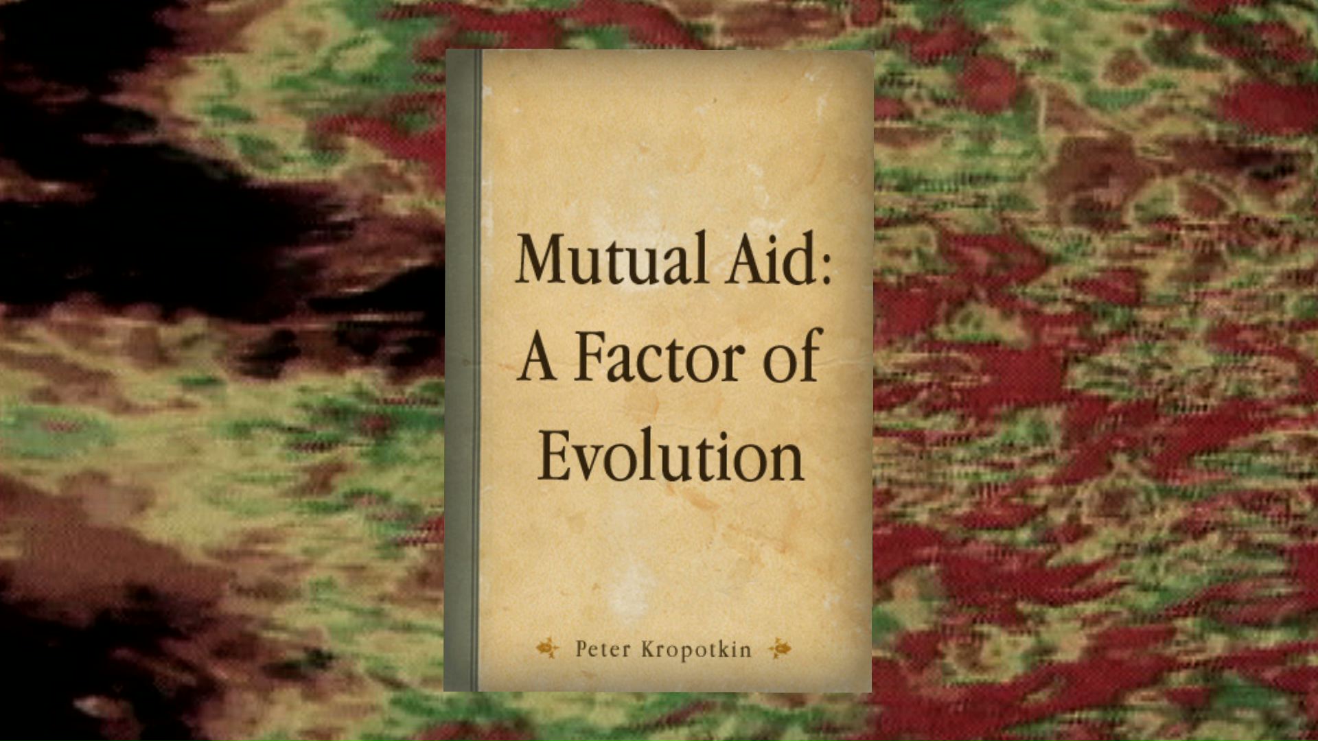 Mutual Aid Sub Media