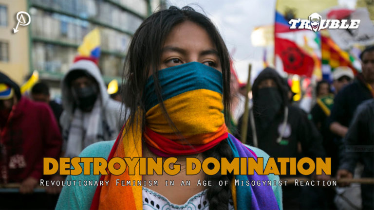 Trouble #11 – Destroying Domination: Revolutionary Feminism in an Age of Misogynist Reaction