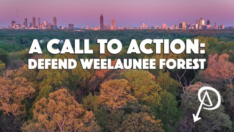 A Call to Action: Defend Weelaunee Forest