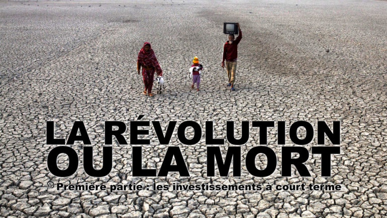 La Révolution ou la Mort – Première partie : les investissements à court terme
