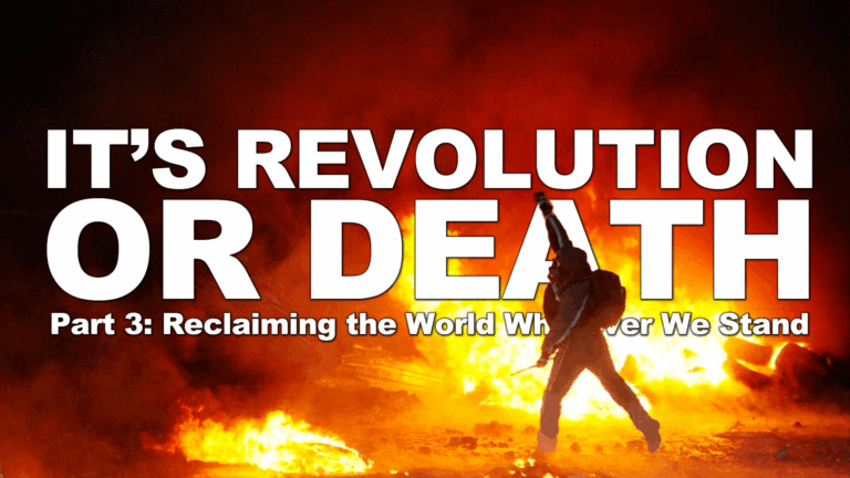It’s Revolution or Death Part 3: Reclaiming the World Wherever We Stand