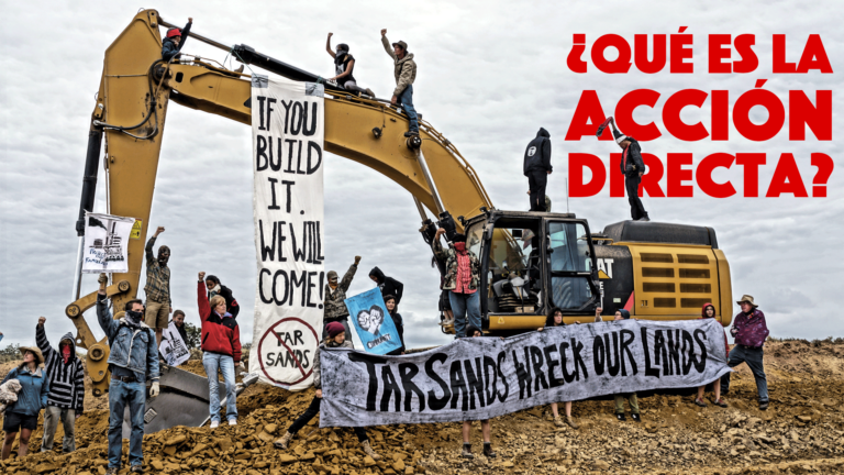 ¿Qué es la acción directa?